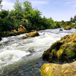 Stream flowing through rocks in forest against sky
