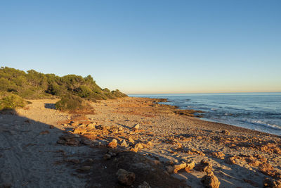 Scenic view of beach against clear blue sky