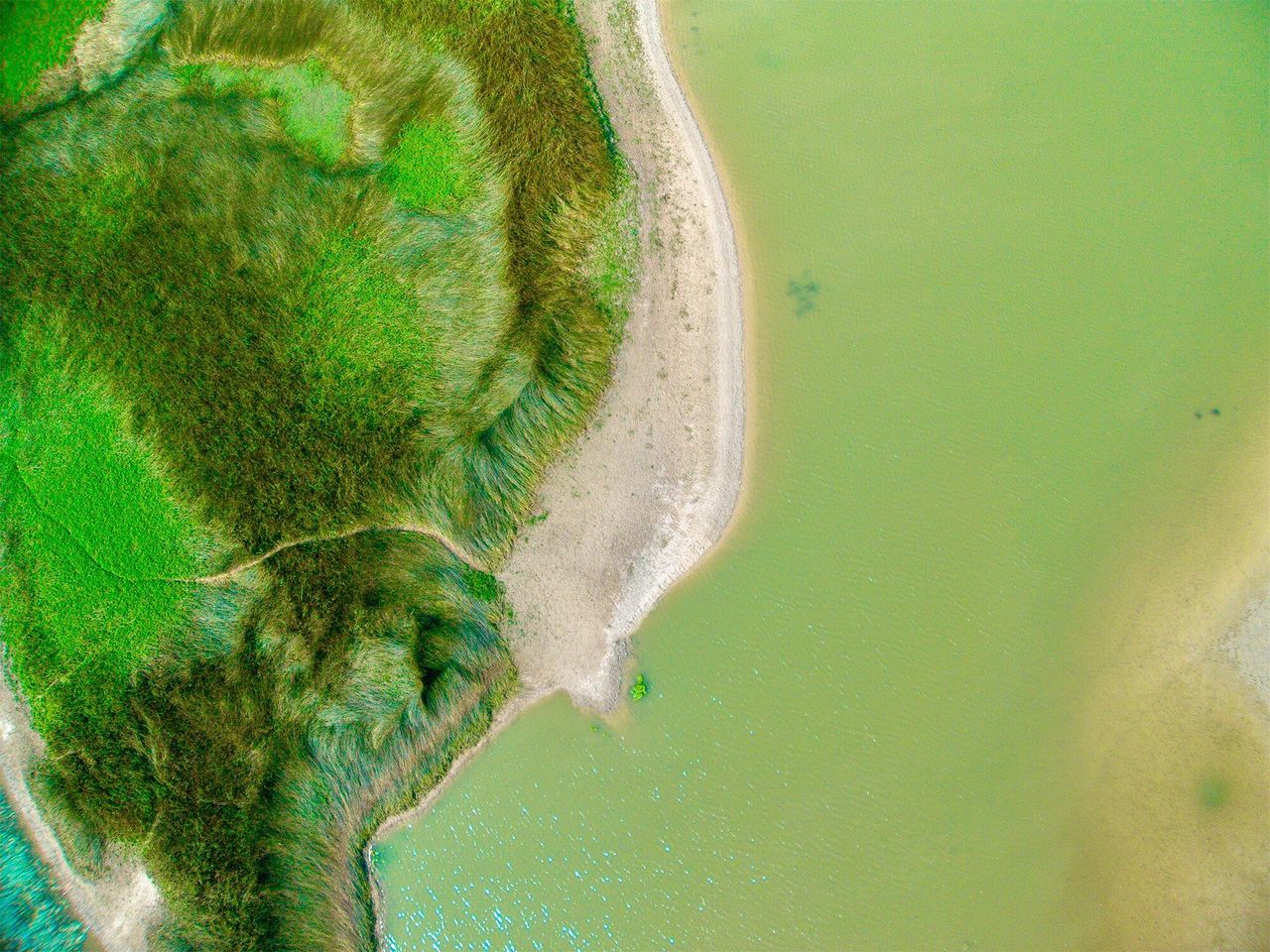 green color, water, no people, day, plant, nature, land, scenics - nature, beauty in nature, tranquility, growth, sea, tranquil scene, outdoors, tree, environment, high angle view, motion, aerial view