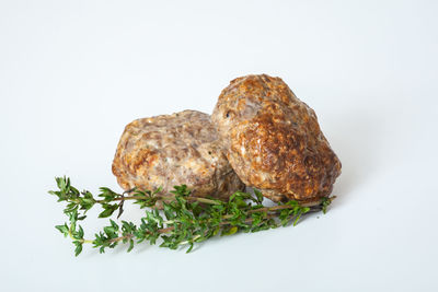 Close-up of bread against white background