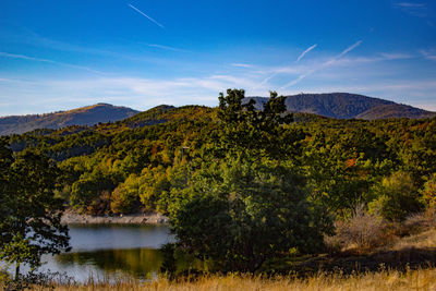 Scenic view of lake by trees against sky