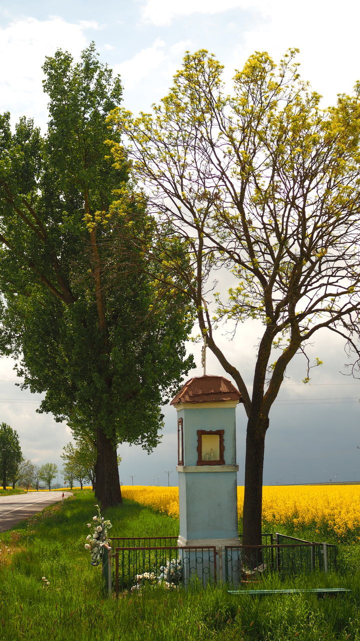 BUILT STRUCTURE ON FIELD AGAINST TREES