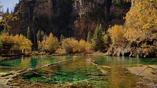 Scenic view of river passing through trees