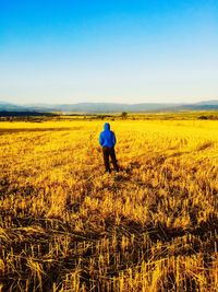 Rear view of woman standing in field