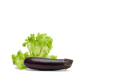 Close-up of vegetable against white background