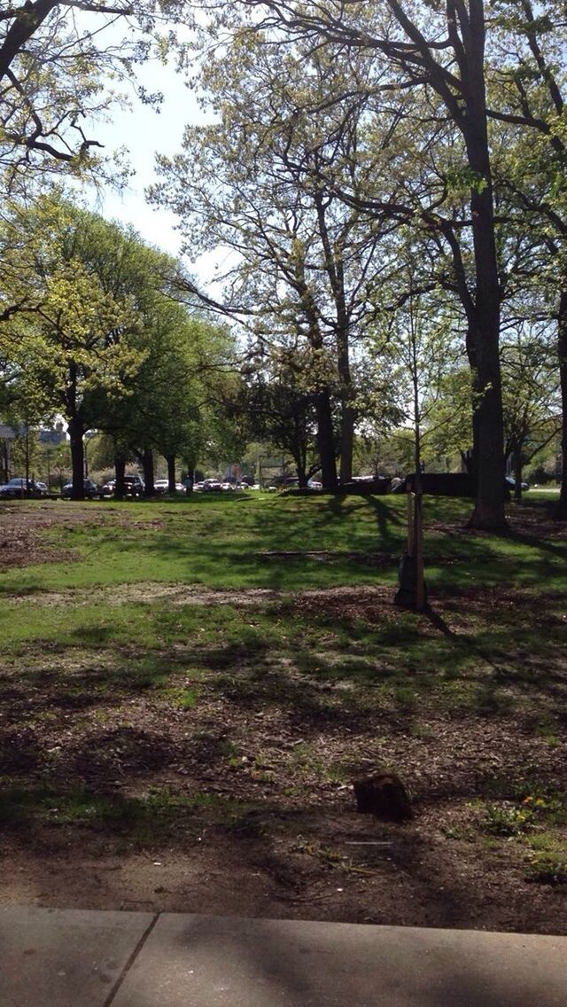 Pelham Bay Parkway Greenway