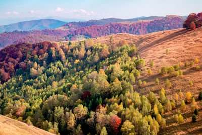 High angle view of trees on landscape against sky