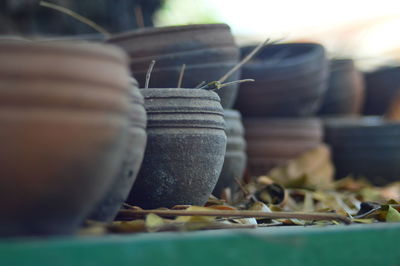 Close-up of potted plant