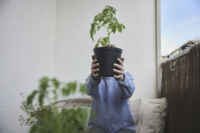 Woman holding tomato seedling