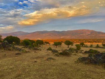 Scenic view of landscape against sky during sunset