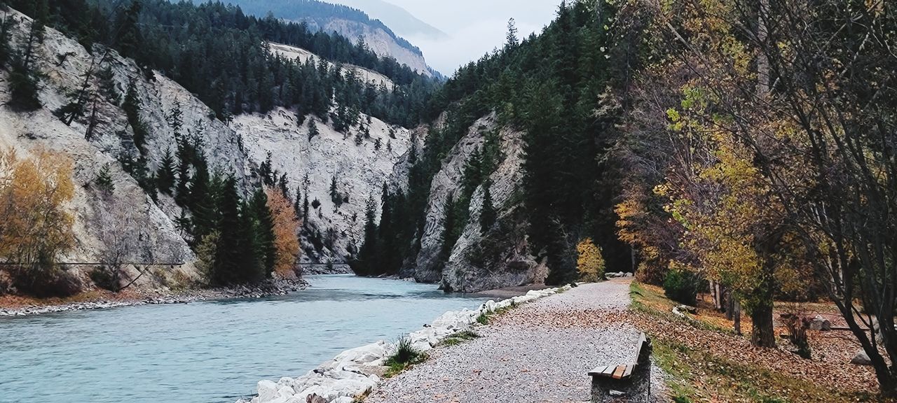 SCENIC VIEW OF RIVER AMIDST TREES