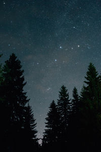 Low angle view of silhouette trees against sky at night