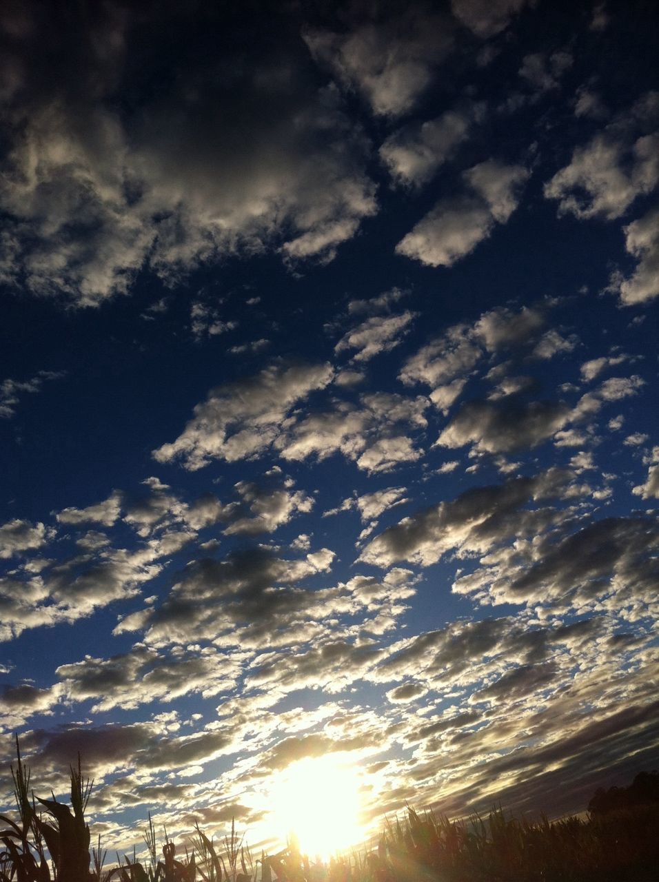 sky, sun, silhouette, cloud - sky, low angle view, sunbeam, sunlight, beauty in nature, sunset, tranquility, scenics, nature, tranquil scene, cloud, lens flare, cloudy, idyllic, tree, outdoors, back lit