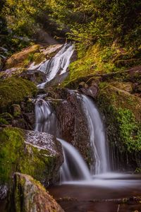 View of waterfall in forest