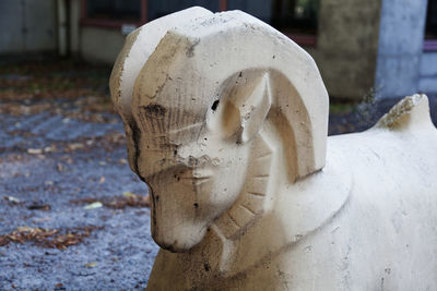 Close-up of statue against snow