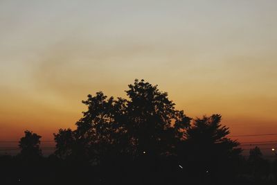 Low angle view of silhouette tree against sky during sunset