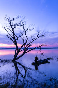 Silhouette bare tree by man in boat on lake against sky during sunset