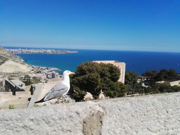 Scenic view of sea against clear blue sky