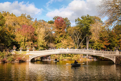 Arch bridge over river against trees in park during autumn