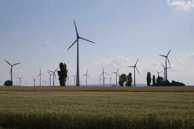 renewable energy