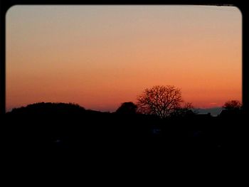 Silhouette trees at sunset