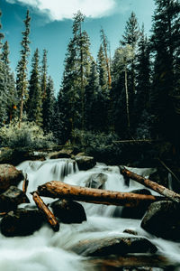 Scenic view of waterfall in forest during winter