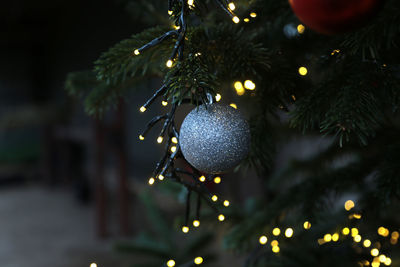 Close-up of christmas tree