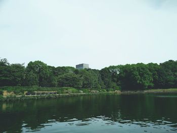 Reflection of trees in water