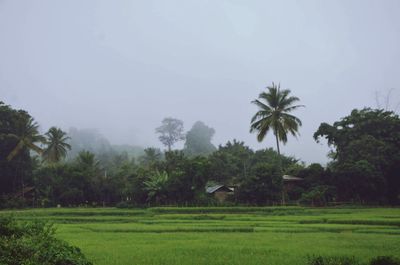 Scenic view of green landscape against sky