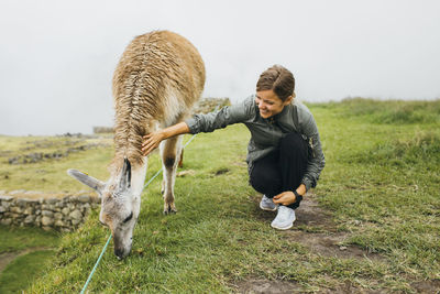 A young woman is sitting near a llama, machu picchu, peru