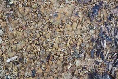 Full frame shot of rocks on beach