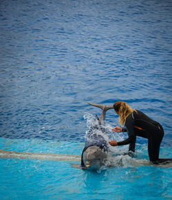 Female trainer with dolphin in swimming pool at zoo