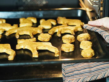 The process of baking rozhestvensky cookies in the form of animals in a home oven. 