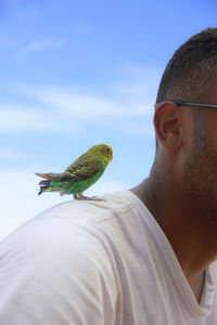 Small bird in green color on man's shoulder