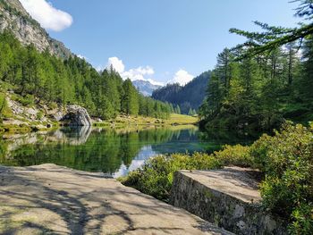 Scenic view of lake by trees against sky