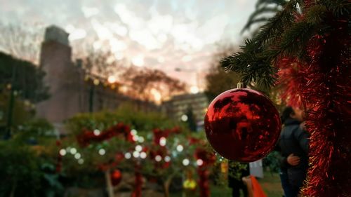 Close-up of christmas tree against sky