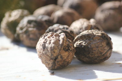 Close-up of walnuts on table in yard