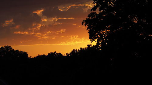 Silhouette trees against sky during sunset