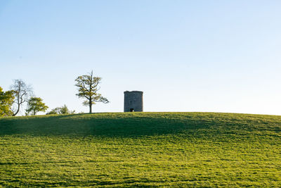 Scenic view of field against clear sky