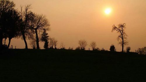 Silhouette trees on landscape against sky during sunset