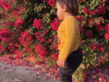 Rear view of child standing on red flowering plants
