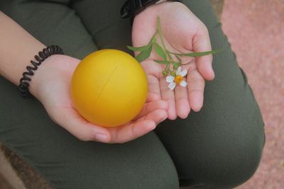 High angle view of woman holding fruit