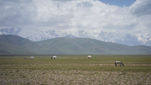 Scenic view of field against sky