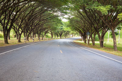 Empty road along trees