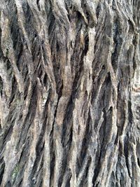 Full frame shot of green leaves