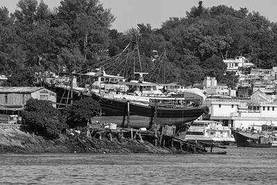 Boats moored on sea by trees against sky