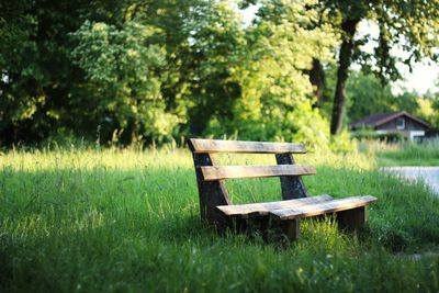 Wooden bench on grassy field