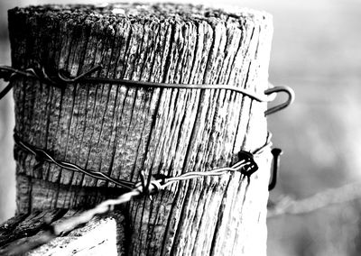 Close-up of barbed wire on wooden post