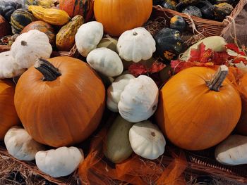 Helloween decoration pumpkin and garlic