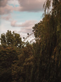 Low angle view of trees against sky